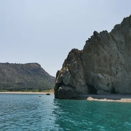 Xenia *