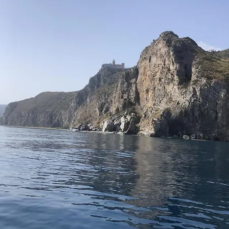 Xenia *