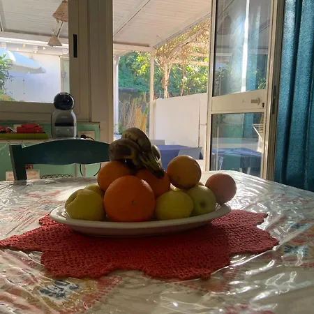 Alojamento de Acomodação e Pequeno-almoço Xenia