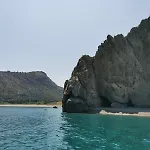 Xenia *