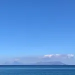 Xenia